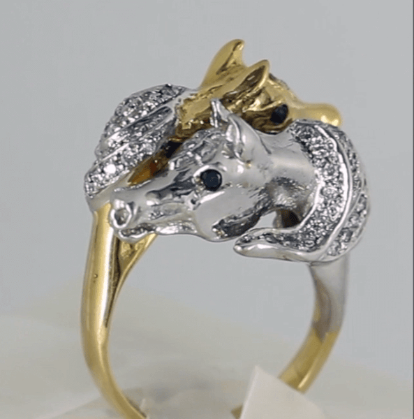 arabian horse ring Copyright and design by Lesley Rand Bennett
